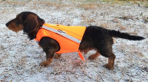 Kardog Ronja Kelluttava GPS-Huomioliivi - Koiraliivit - RONJA - 1