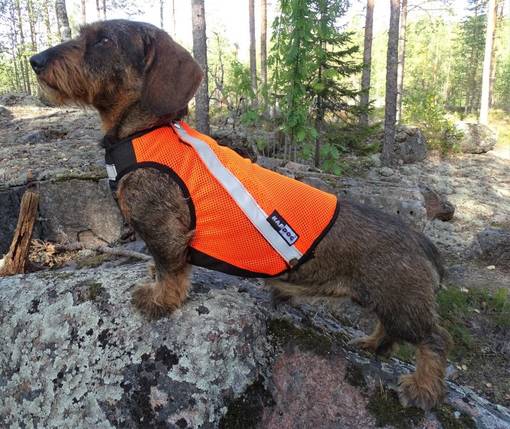 Kardog Usva Huomioliivi - Koiraliivit - USVA - 1