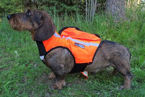 Kardog Inari GPS-Huomioliivi - Koiraliivit - INARI - 1