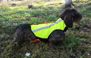 Kardog Otso Huomioliivi - Koiraliivit - OTSO - 2