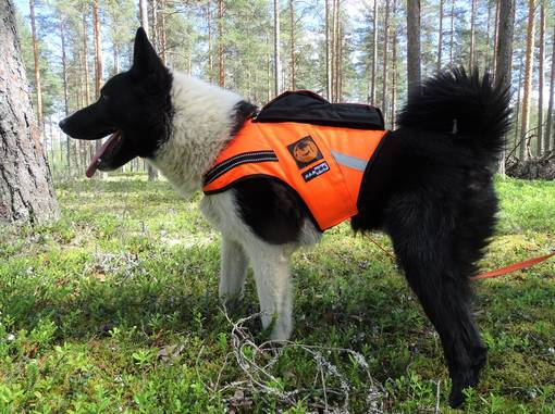 Tracker Jehu=20 - Koiraliivit - JEHU-Tracker - 1